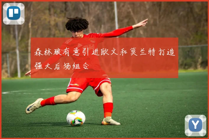 森林狼有意引进欧文和莫兰特打造强大后场组合