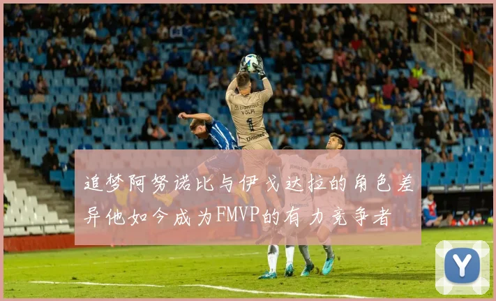 追梦阿努诺比与伊戈达拉的角色差异他如今成为FMVP的有力竞争者