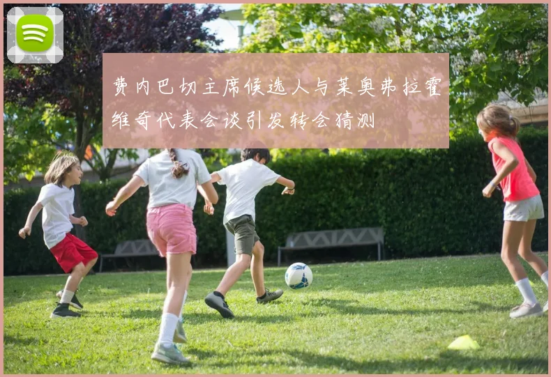 费内巴切主席候选人与莱奥弗拉霍维奇代表会谈引发转会猜测