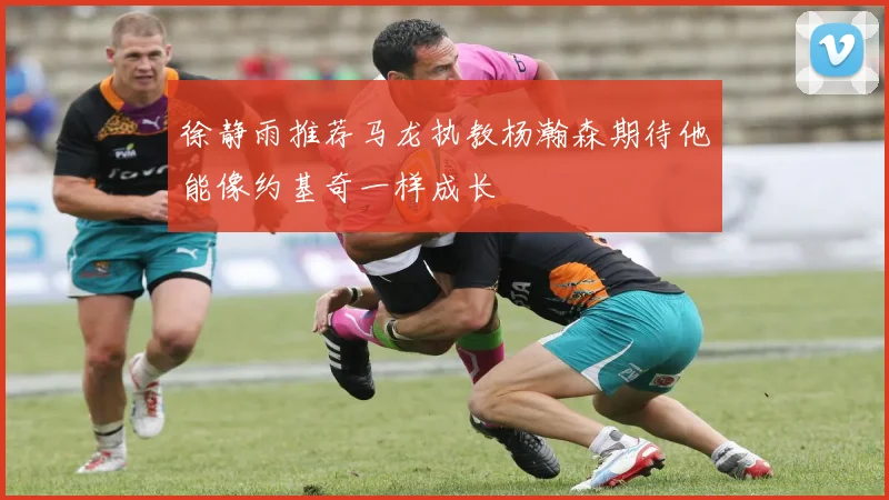 徐静雨推荐马龙执教杨瀚森期待他能像约基奇一样成长